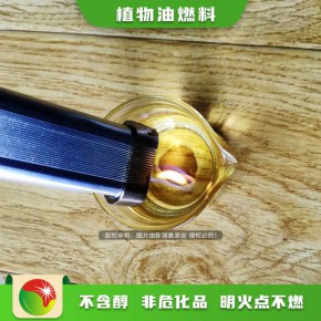 贵州无醇燃料配方 铜仁植物油灶具生产厂家