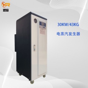 发酵罐配套用30KW电蒸汽发生器