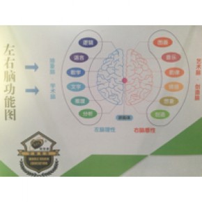 周口市心智通文化传播有限公司