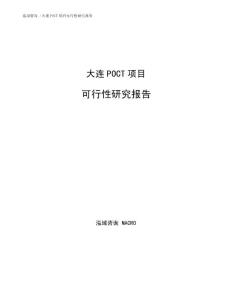 大连POCT项目可行性研究报告