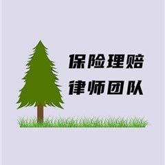 西城区律师-保险理赔王律师