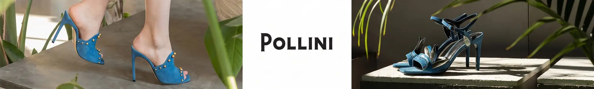 Pollini