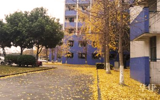 职业教育