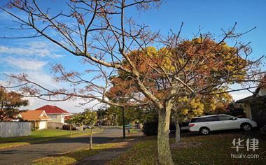 国有土地使用权摊销吗