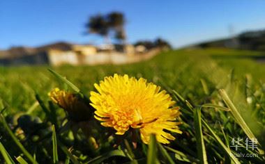 集体土地使用权登记到期