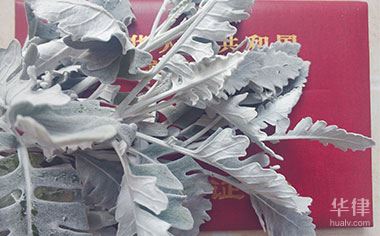 阁楼没有产权拆迁有赔偿吗