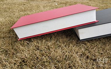 医疗事故怎么处罚的