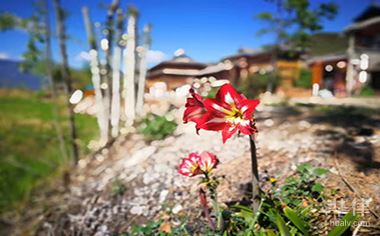 诉讼离婚中如何争夺孩子抚养权