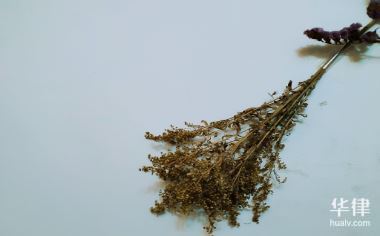 违反欧盟反倾销有刑事责任吗