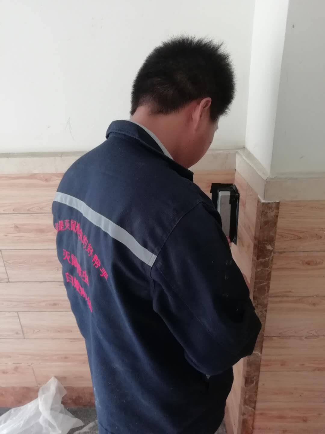 雅安除白蚂蚁公司