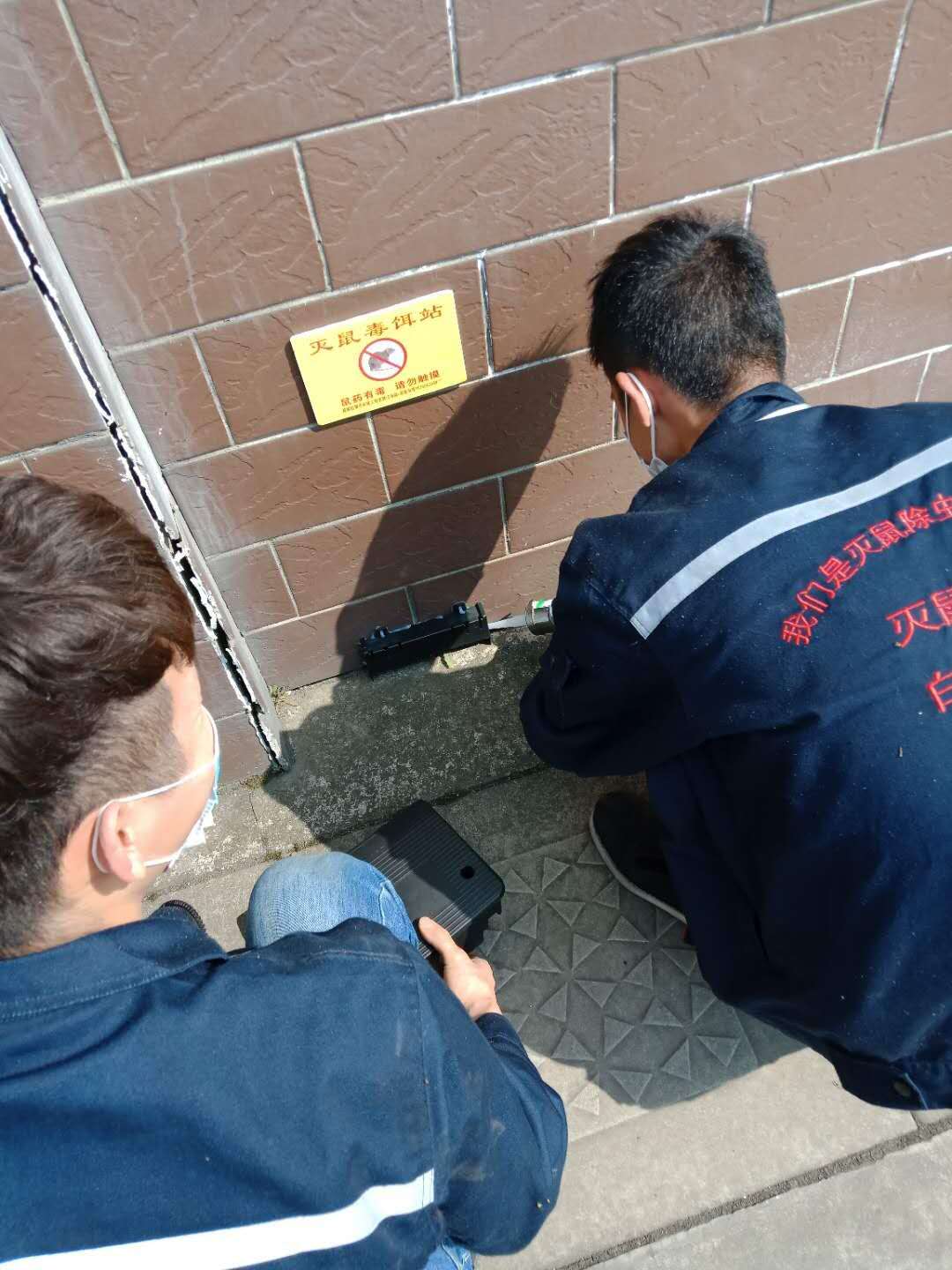彭山灭老鼠服务效果