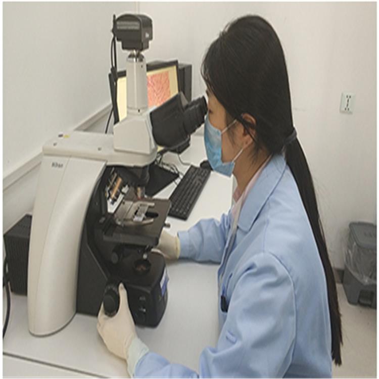 珠海大分子药物活性表征研究标准