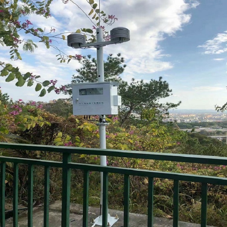 大气中负离子浓度监测系统