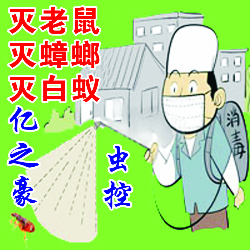 灭鼠 梧州市家庭灭老鼠公司