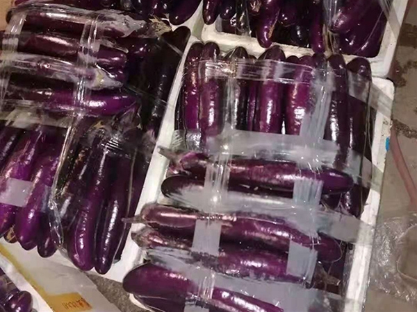 厚街蔬菜配送平台