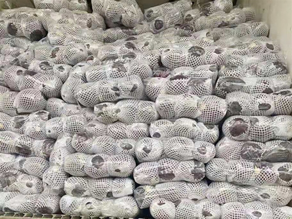 厚街蔬菜配送平台