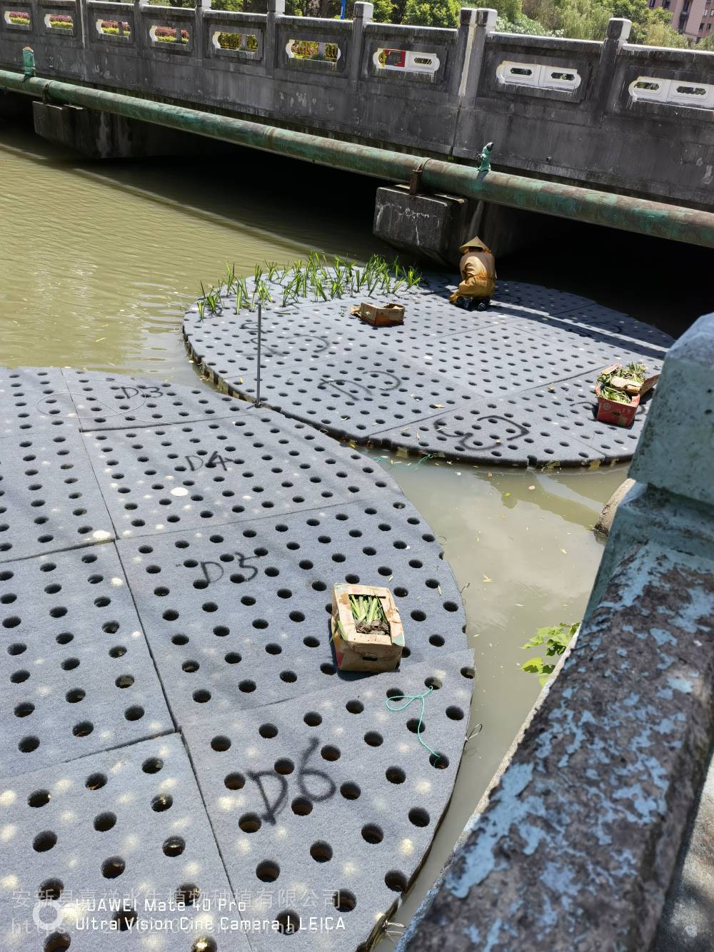 广西绿化**浮动湿地厂家 广西环保材质复合纤维浮田型浮岛