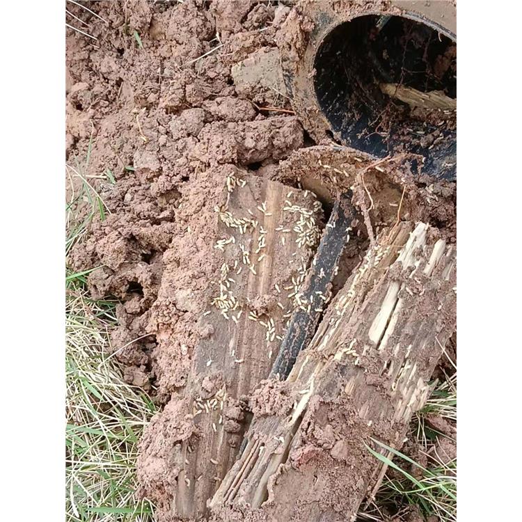 忠兴镇灭蟑螂公司_消毒杀虫