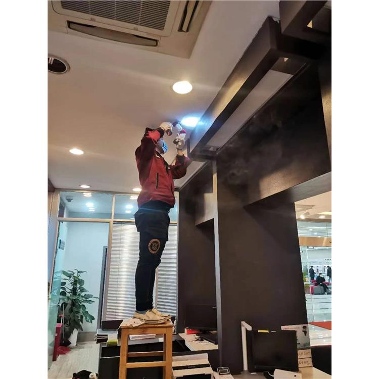 丁蜀镇白蚁防治 灭白蚁