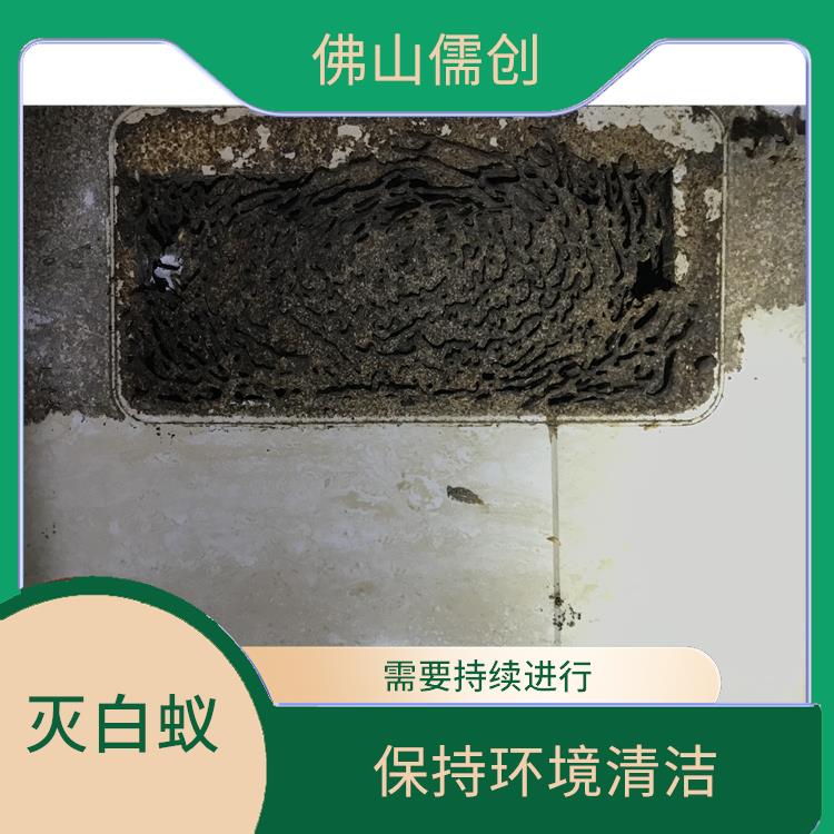 南山镇白蚁防治哪家好 灭苍蝇 需要持续进行