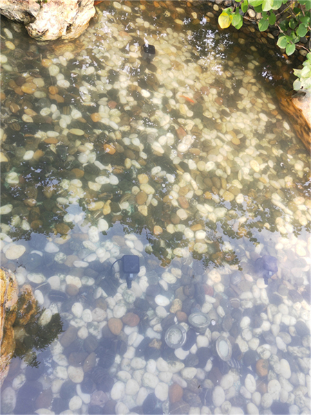 南京鱼池过滤设备价格