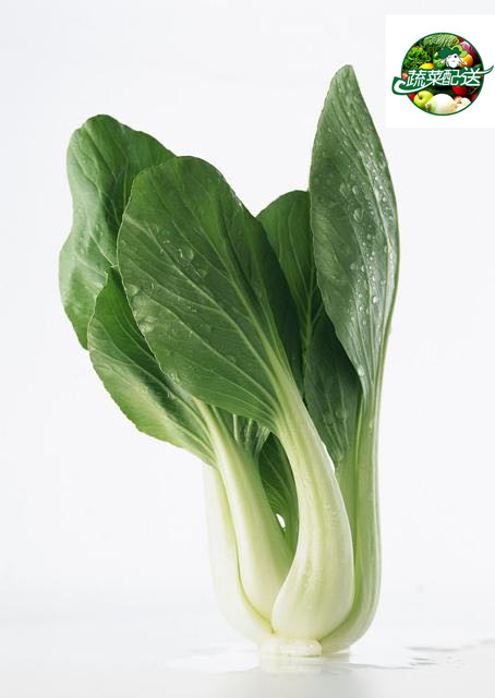 东城蔬菜配送公司