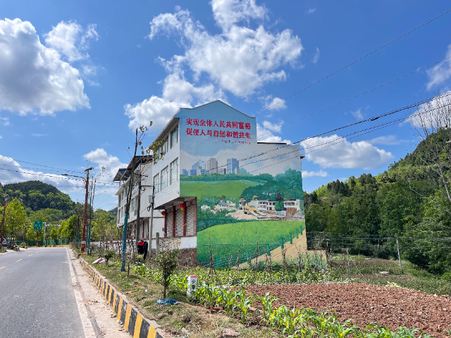 四川井盖彩绘 四川蓉城福道文化传播供应