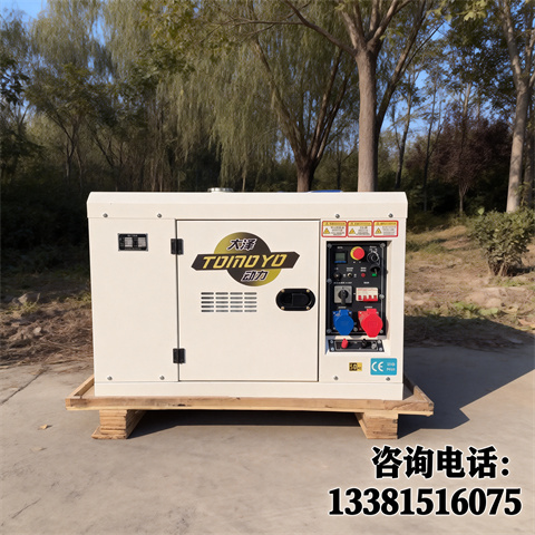 大泽动力10kw柴油发电机轻便续航