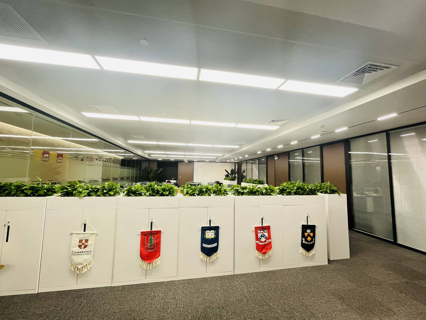 中国香港留学机构如何选？欧弗星辰性价比高的推荐