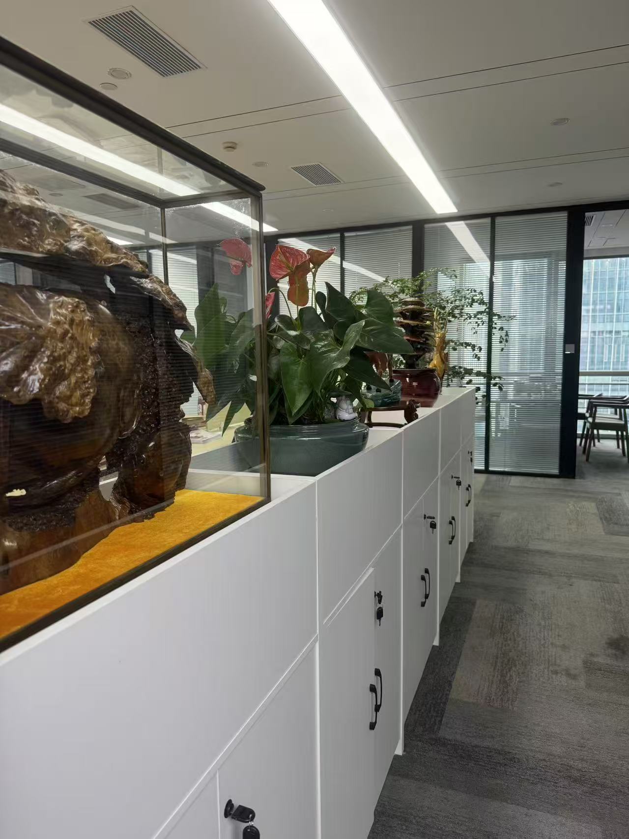 哪家律师所特色案件胜诉可能大？道来律师所盘点