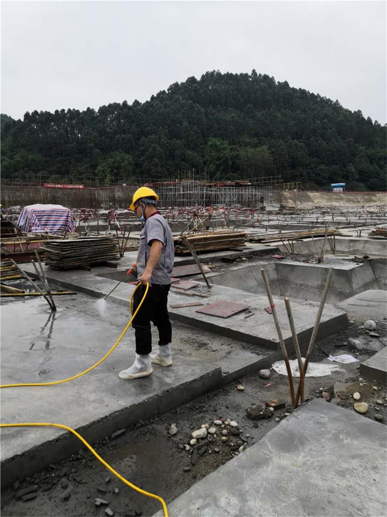 德阳中江东北镇灭臭虫公司服务