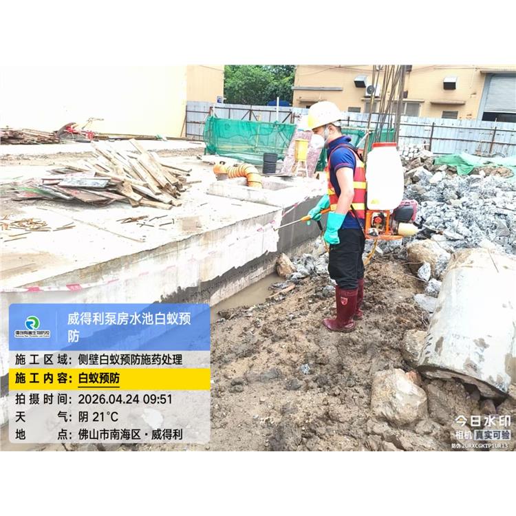 南海区狮山镇大浩湖灭蚂蚁多少钱 上门服务 确定方案