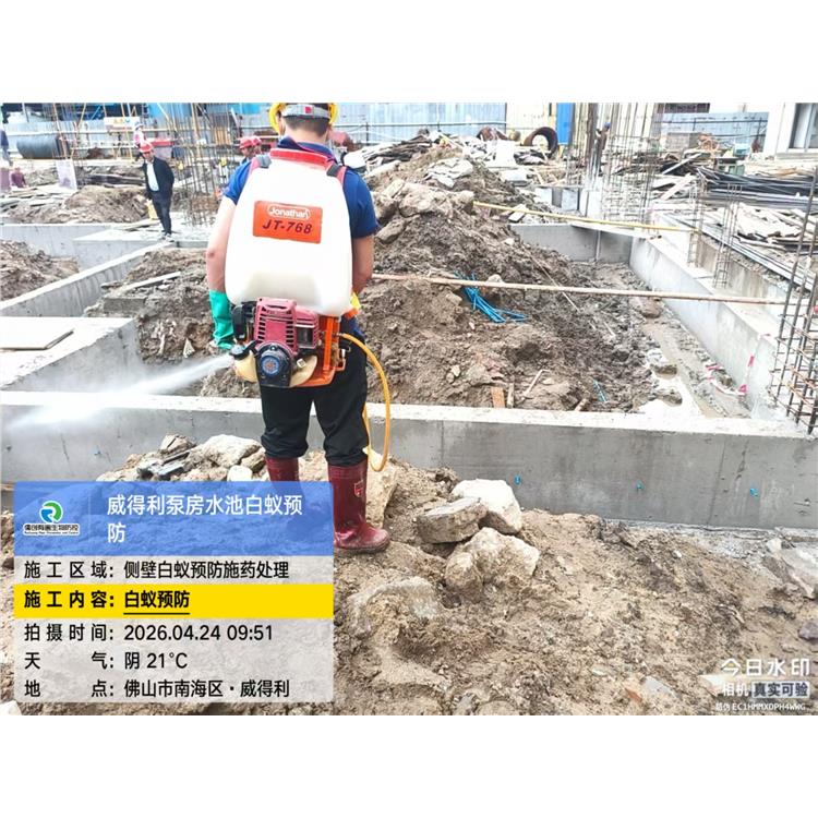 禅城区张槎街道灭蚂蚁价格 上门服务 确定方案