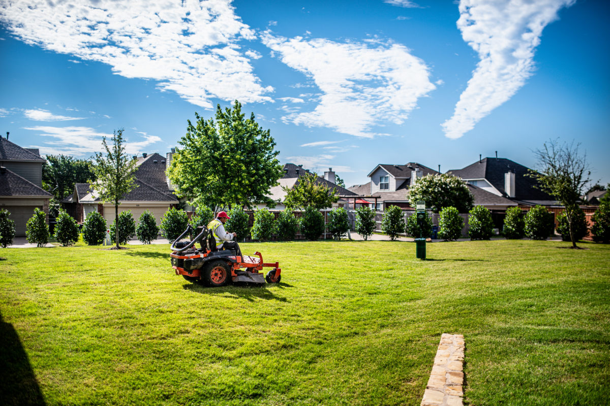 Landscaping