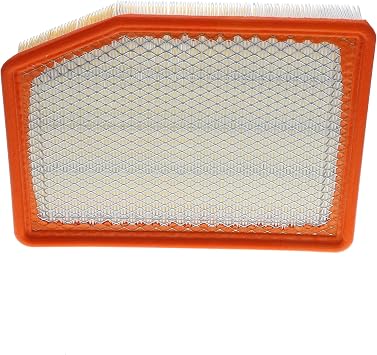 ACDelco GM Original Equipment A3246C 84121217 Air Filter