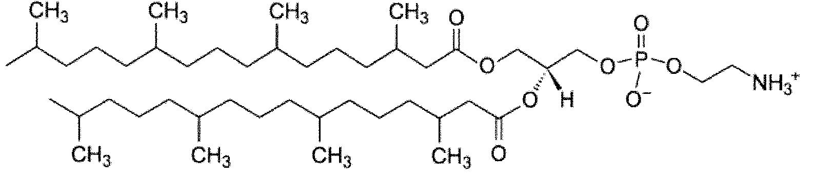 Figure imgf000061_0001