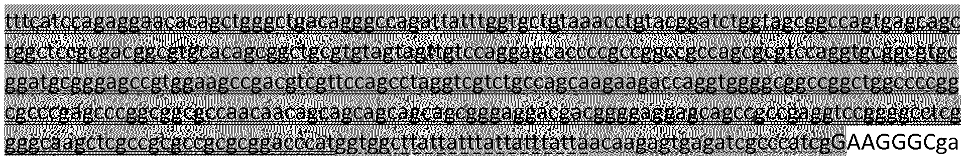 Figure imgf000053_0001