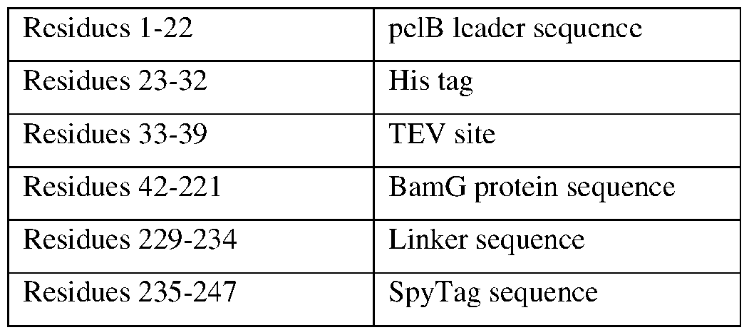 Figure imgf000016_0002