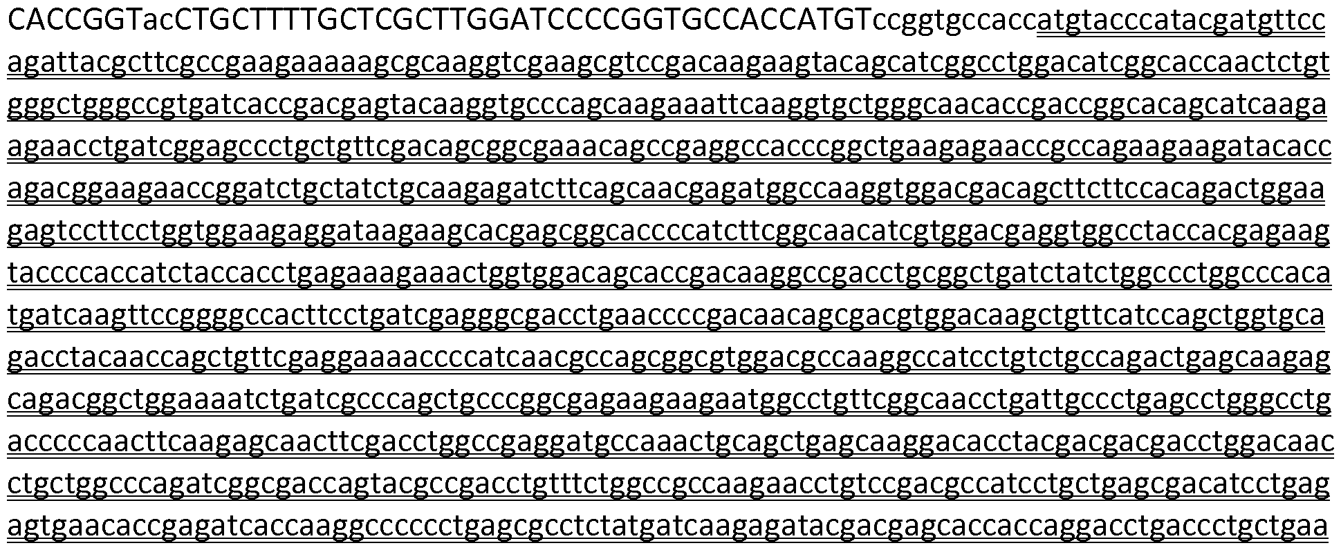 Figure imgf000031_0001