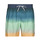 衣服 男士 男士泳裤 Billabong ALL DAY FADE LB Mint