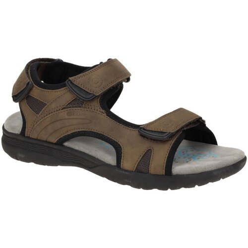Chaussures Homme Randonnée Geox  Marron