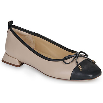 Chaussures Femme Ballerines / babies Clarks UBREE15 POPPY Beige