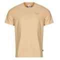 Vêtements Homme T-shirts manches courtes Puma TEE MIF BADGE BRODE 
