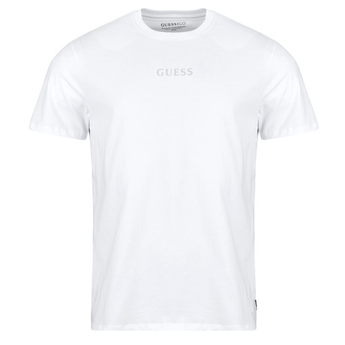 Abbigliamento Uomo T-shirt maniche corte Guess SS BSC QUATTRO G MIST TEE 