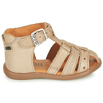 GBB CARIGO