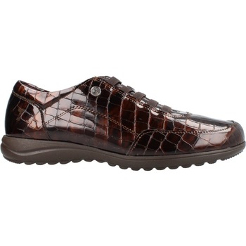 Schoenen Dames Sneakers Pitillos 20514p Deportivo Charol Coco Brown