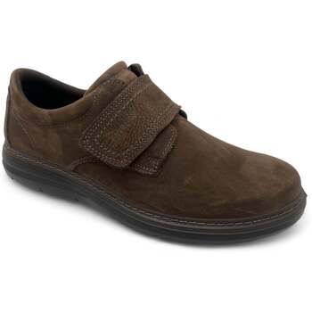 Schuhe Herren Stiefel Enval  Braun