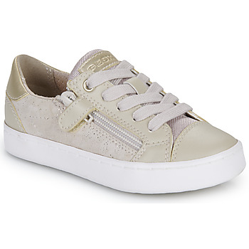 Zapatos Niña Zapatillas bajas Geox JR KILWI GIRL Beige / Oro