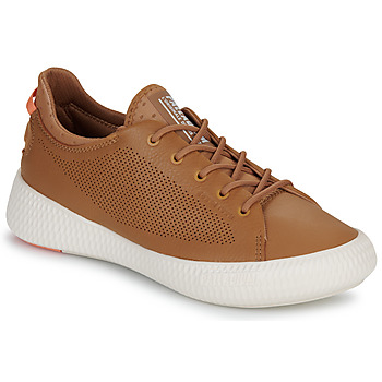 Scarpe Donna Sneakers basse Palladium PALLANOVA LTH Marrone
