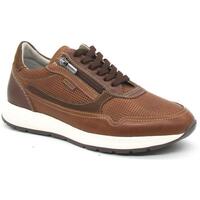 Scarpe Uomo Sneakers basse Pikolinos GETAFE M2B-6263 C1 Beige